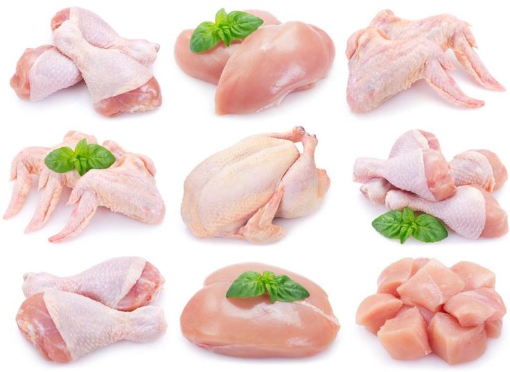 Chicken