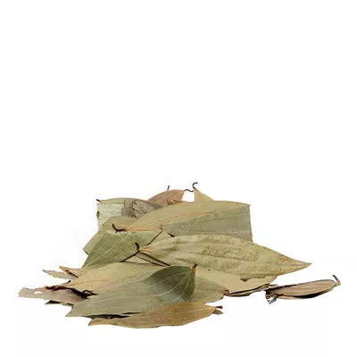 tejpata