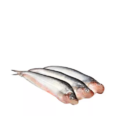 pabda