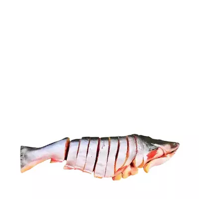 pangas-fish