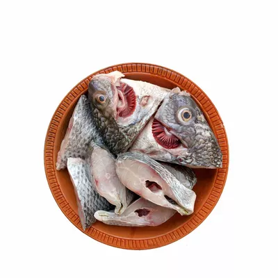 Fish